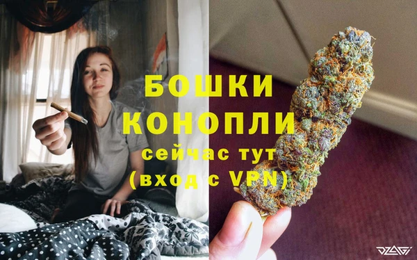 мяу мяу мука Заводоуковск