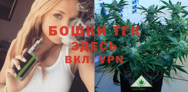 мяу мяу мука Заводоуковск