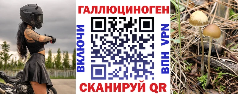Псилоцибиновые грибы мицелий  Домодедово 